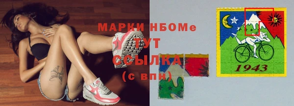 крисы Магадан