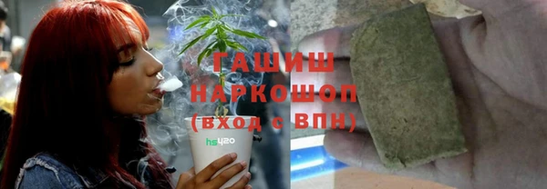 крисы Магадан