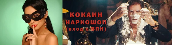 крисы Магадан