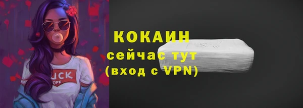 крисы Магадан