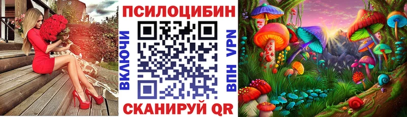 mega рабочий сайт купить Оса дарк нет Telegram Галлюциногенные грибы Psilocybe