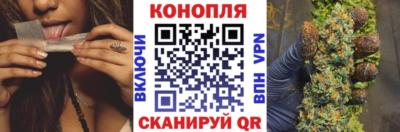 МАРИХУАНА MAZAR где купить Оса